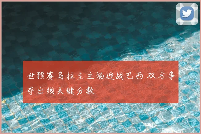 世预赛乌拉圭主场迎战巴西 双方争夺出线关键分数
